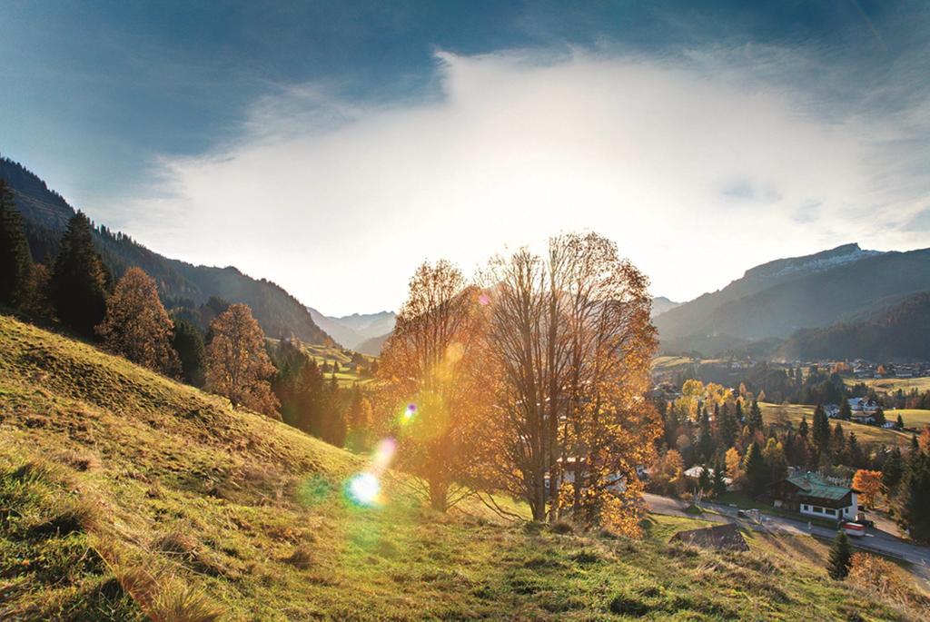 Ferienwohnungen Beck Hirschegg Rein Exterior foto